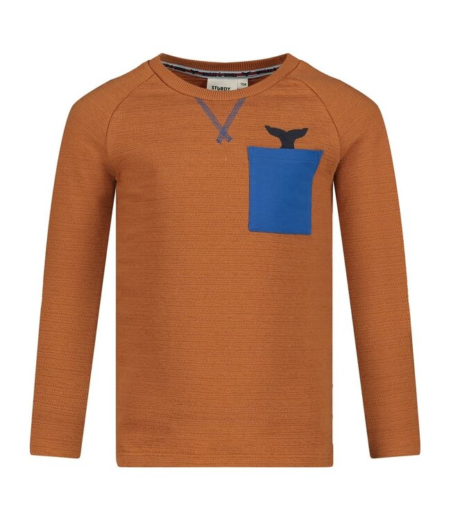 Sturdy Longsleeve hazelnut waves and whales