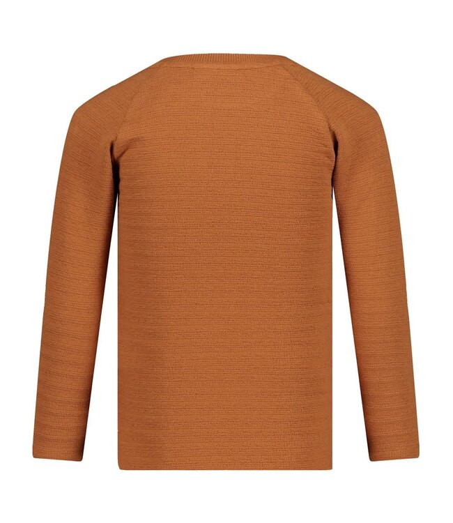 Sturdy Longsleeve hazelnut waves and whales