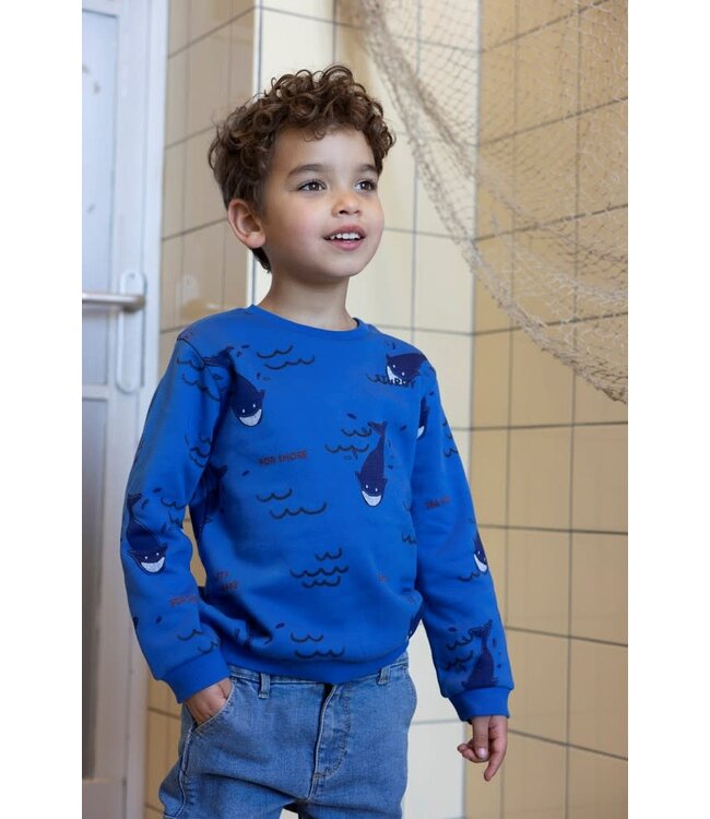 Sturdy Sweater blauw waves and whales