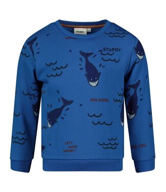 Sturdy Sweater blauw waves and whales