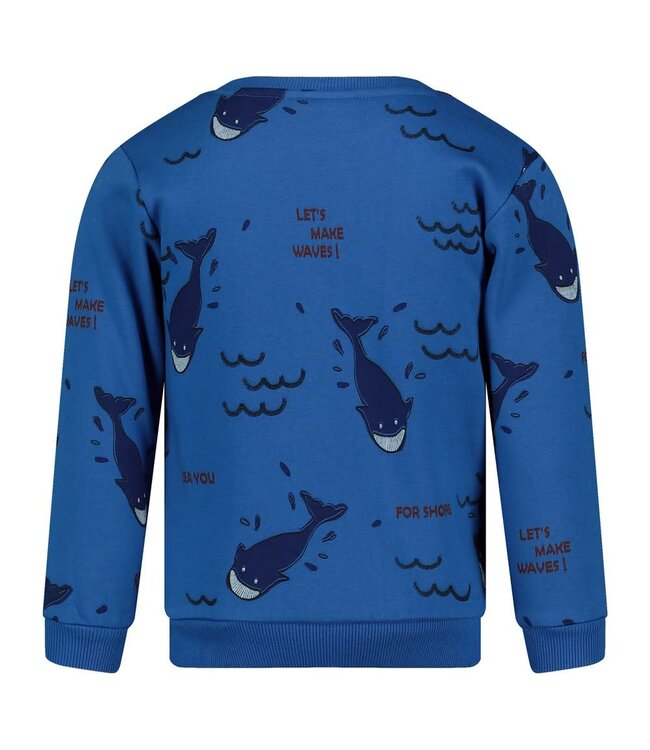 Sturdy Sweater blauw waves and whales
