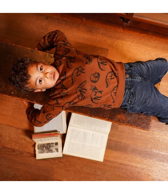 Koko Noko Trui bruin fox