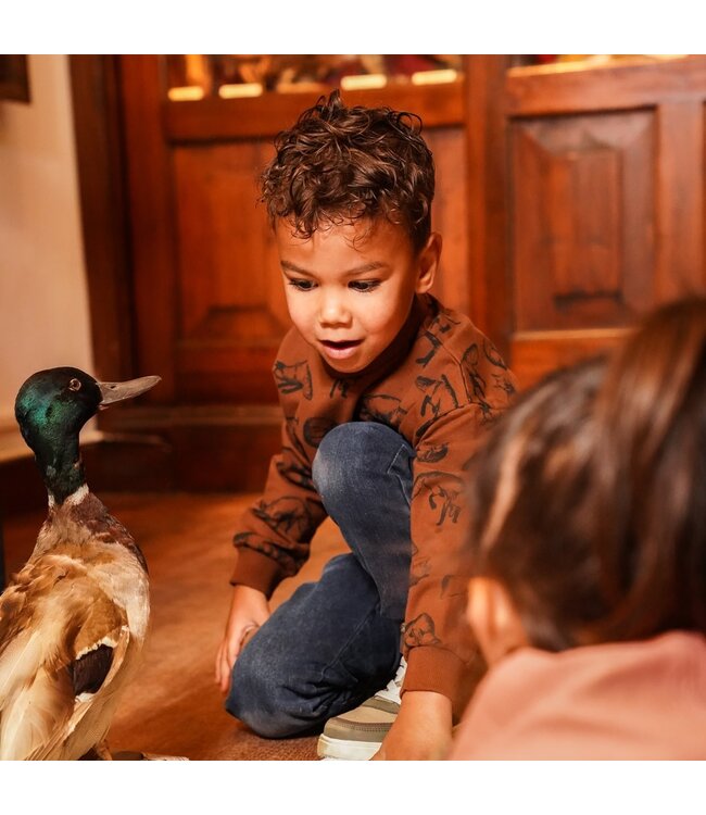 Koko Noko Trui bruin fox