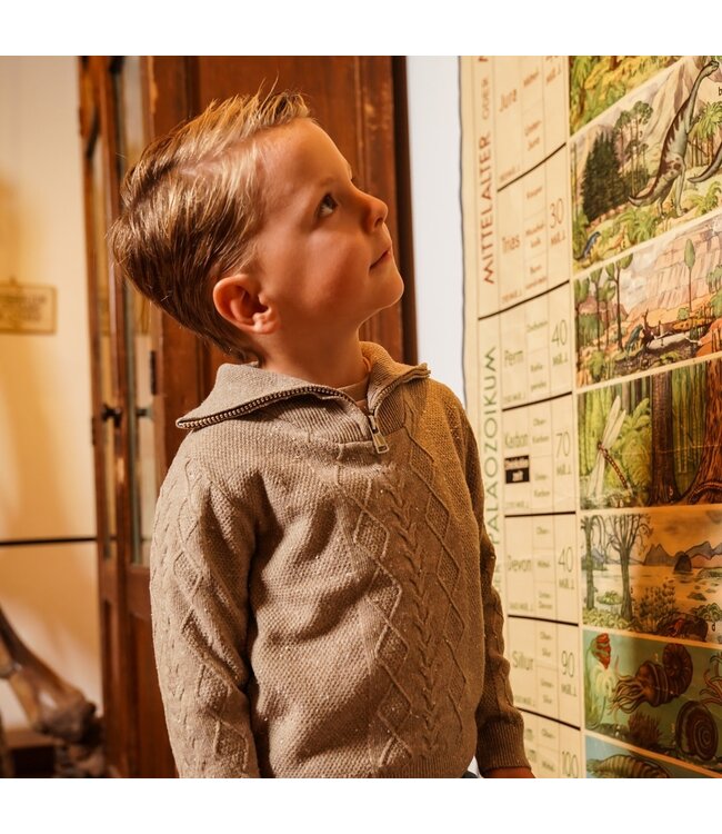 Koko Noko Trui taupe halve rits geweven motief