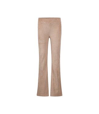 No Way Monday Velours broek bootcut taupe NWM