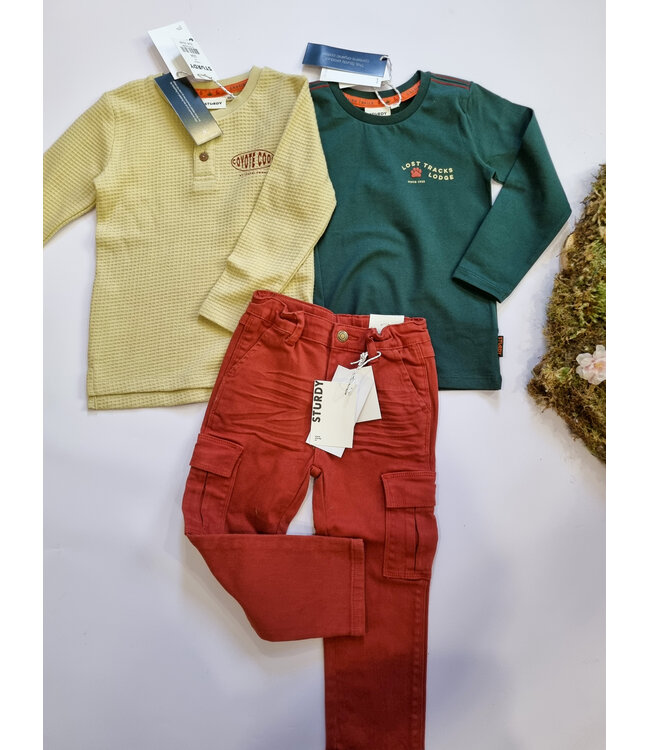 Sturdy Cargo broek Chasing trails bruin