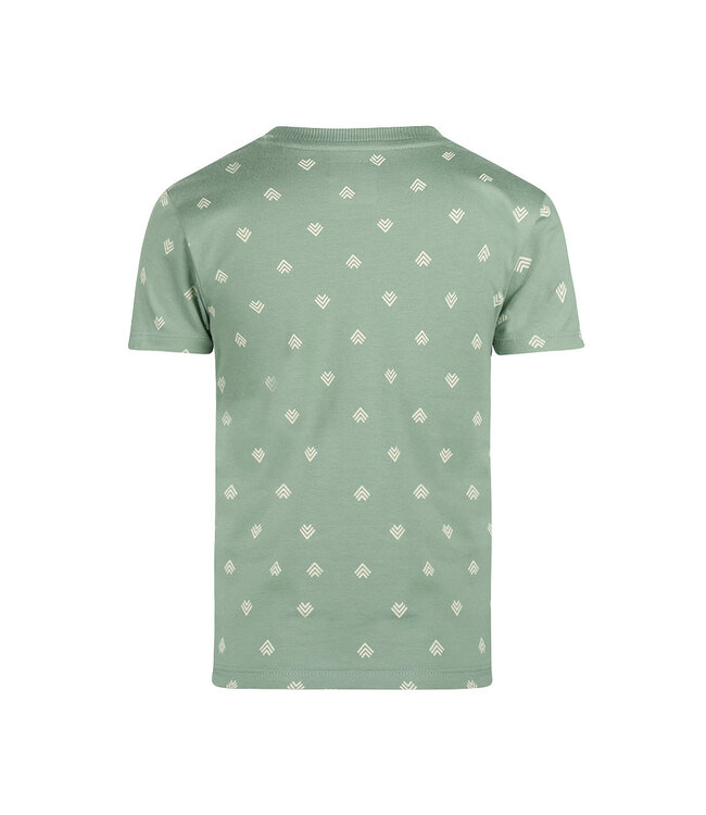 Koko Noko T-Shirt mint Teo Hoekjes
