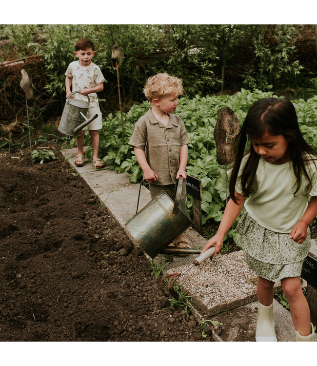 Koko Noko Rok Pistachio