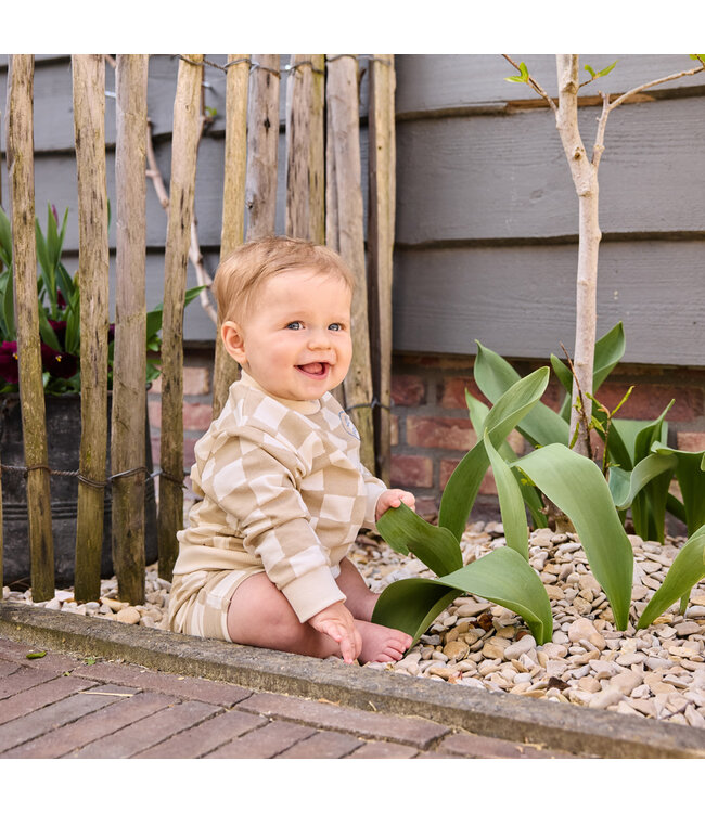 Dirkje Sweater beige chess