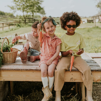 Nieuwe collectie 2026 