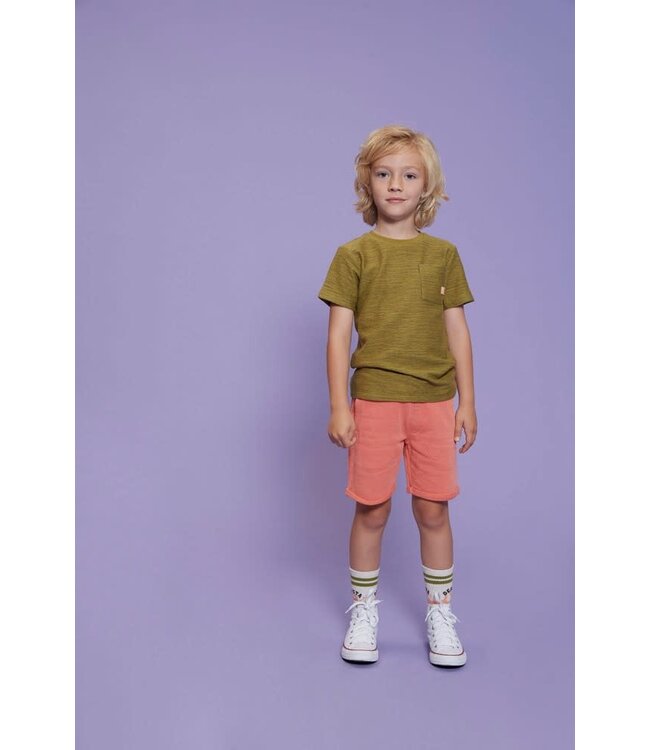 Sturdy T-Shirt Desert Fiesta Army green