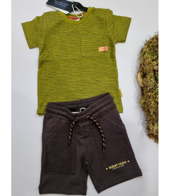 Sturdy T-Shirt Desert Fiesta Army green