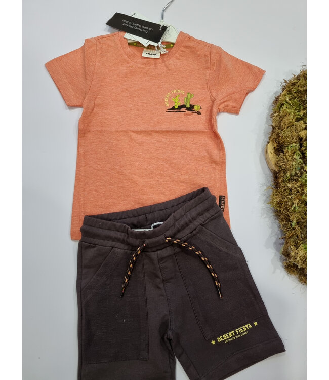 Sturdy T-Shirt Koraal melange Dessert Fiesta