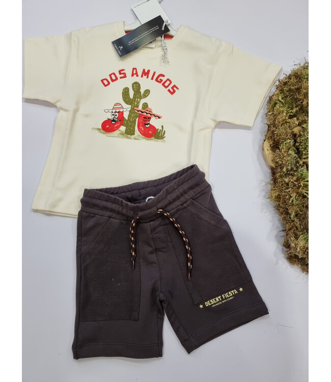 Sturdy T-Shirt Dessert Fiesta Ecru cactus