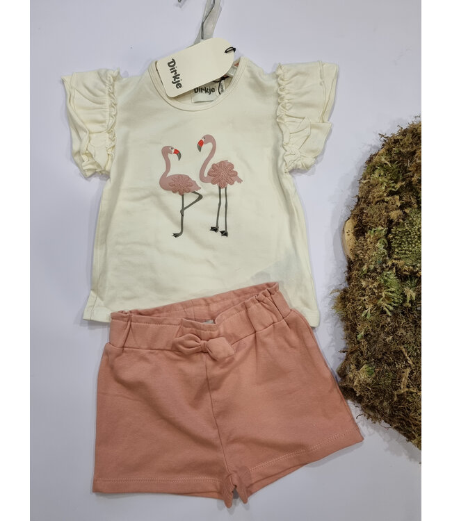 Dirkje Set Flamingo Fun ecru roze