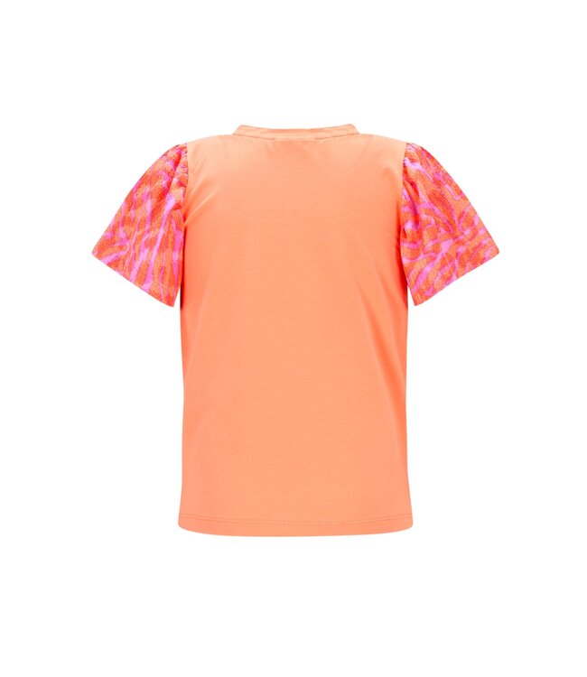 B-Nosy Top Thessa Koraal