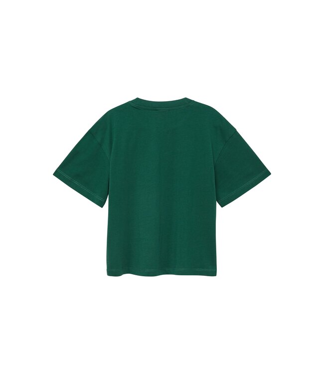 s.Oliver T-Shirt Groen Master Tennis
