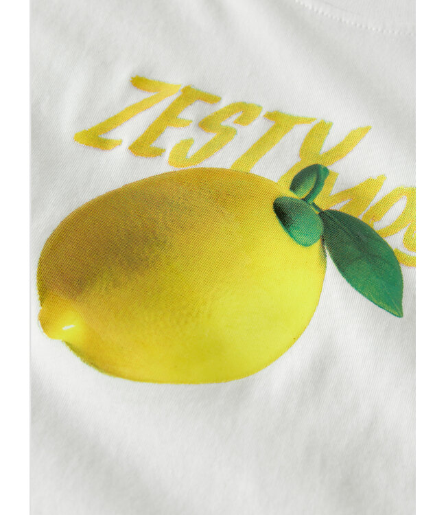 name it T-Shirt Farina Citroen