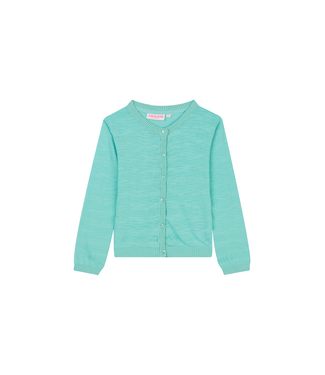 Someone Cardigan Regi Mint