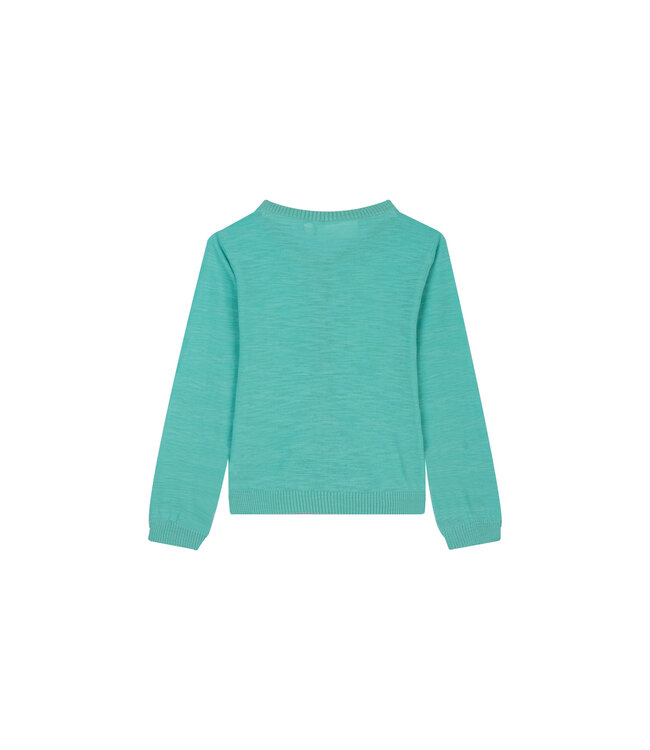 Someone Cardigan Regi Mint