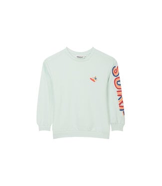 Someone Sweater Surf Puerto lichtgroen