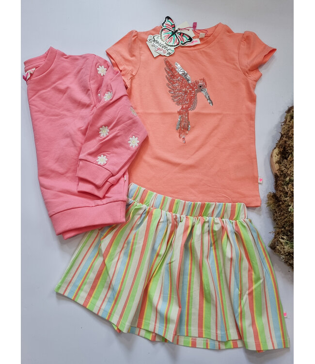 Someone Rok Felien gestreept multi color