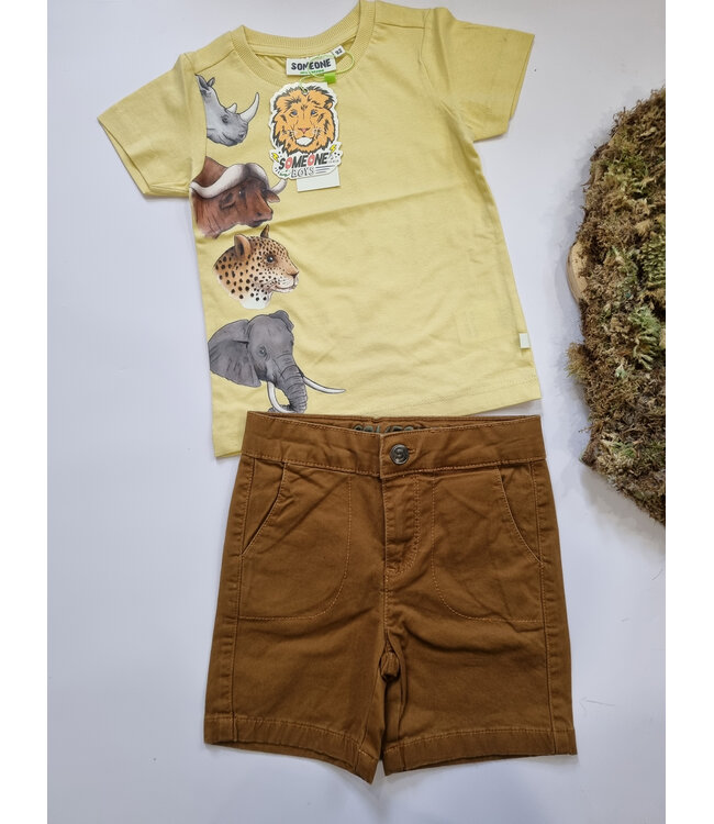 Someone Bermuda cognac Dries