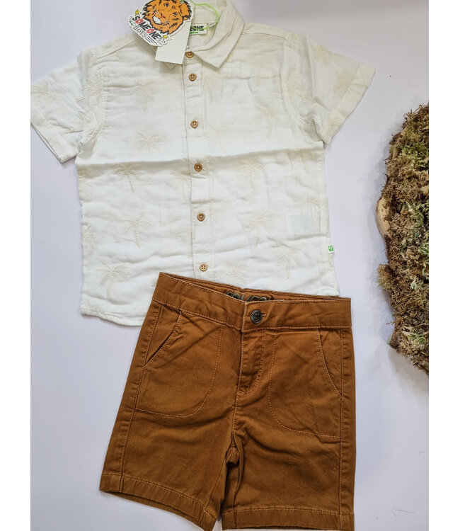 Someone Bermuda cognac Dries