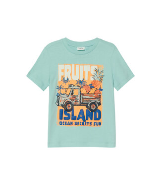s.Oliver T-Shirt Fruit island