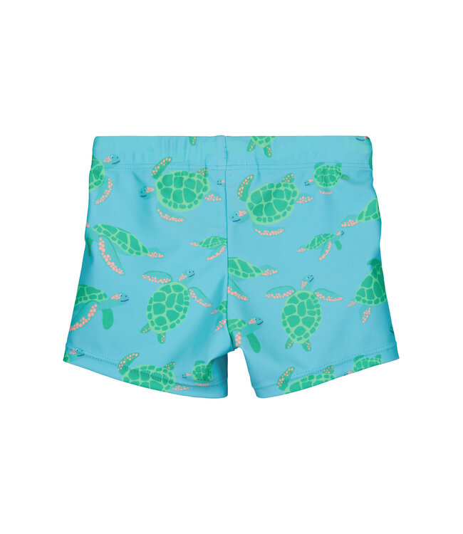 Blue Seven Zwembroek Turtle