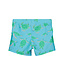Blue Seven Zwembroek Turtle