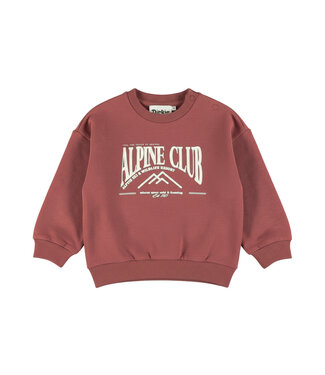 Dirkje Sweater Rood Alpine club