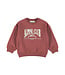 Dirkje Sweater Rood Alpine club
