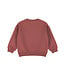 Dirkje Sweater Rood Alpine club
