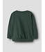 name it Sweater groen explore dino