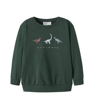 name it Sweater groen explore dino