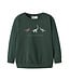 name it Sweater groen explore dino