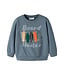 name it Sweater Blauw Board Hunter