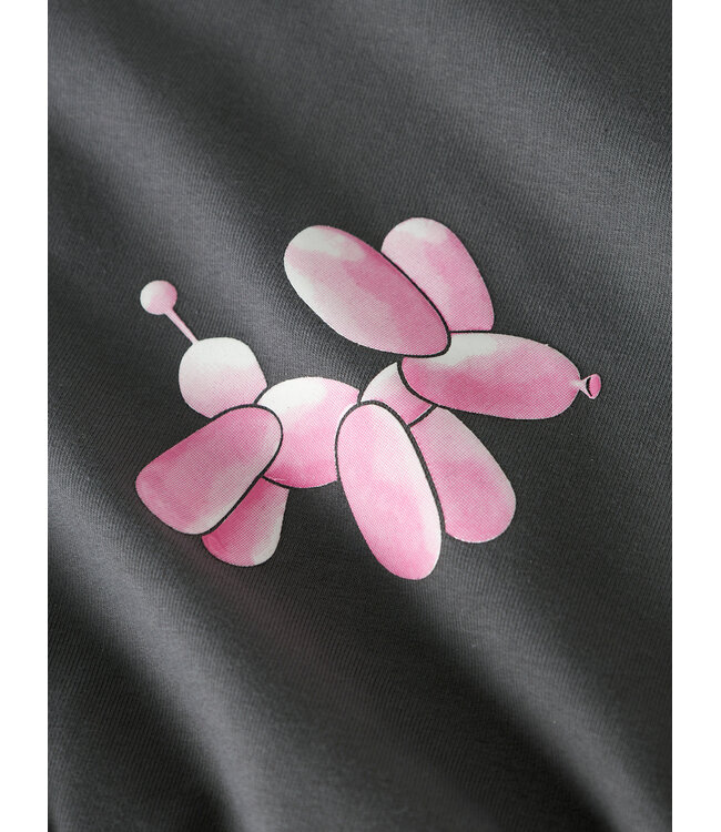 name it Sweater balloon dog antraciet