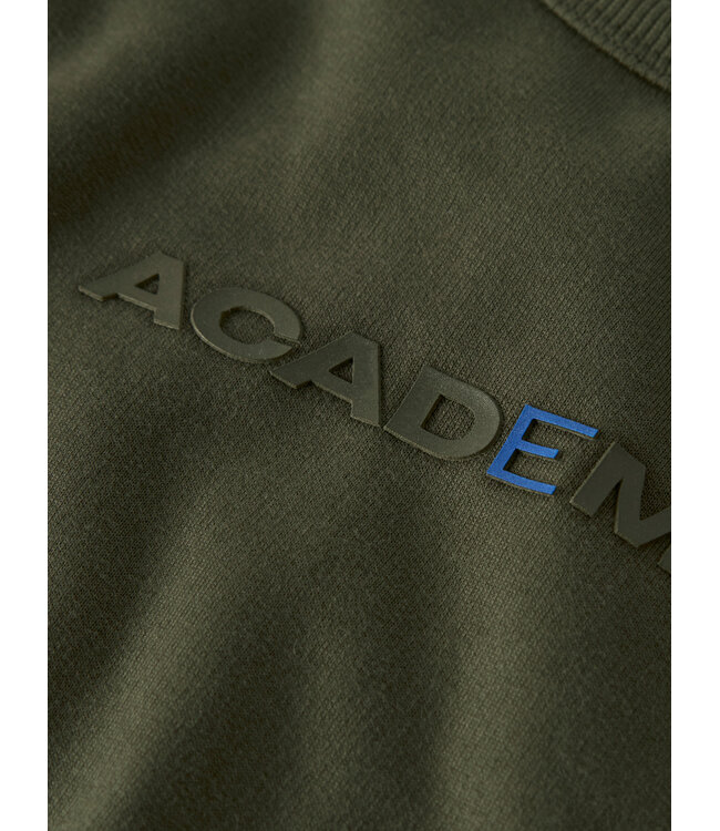 name it Sweater Academy Olive