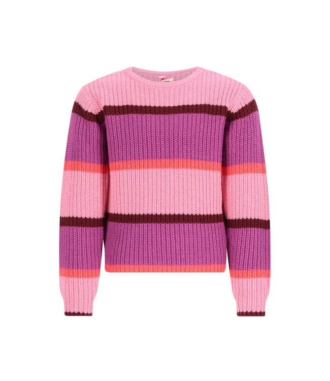B-Nosy Trui Kendall gestreept lila roze