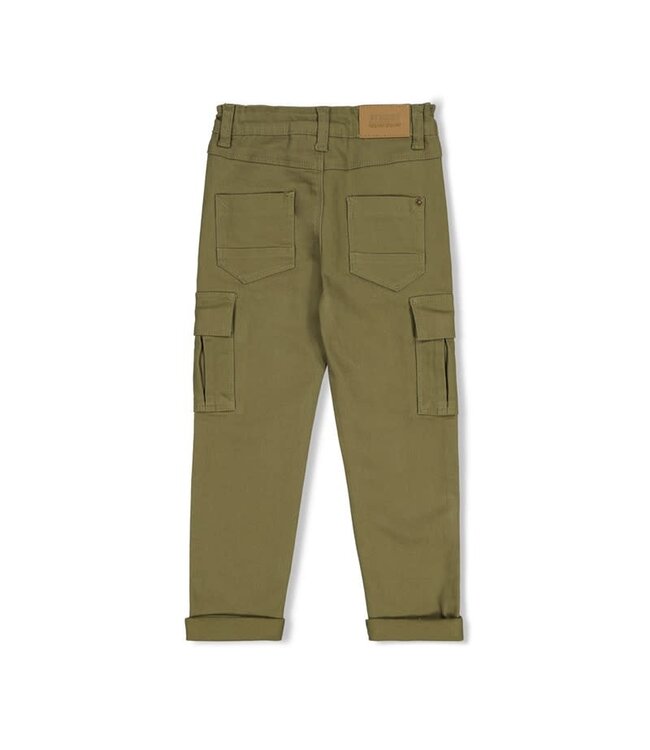 Sturdy Cargo broek Rock the earth