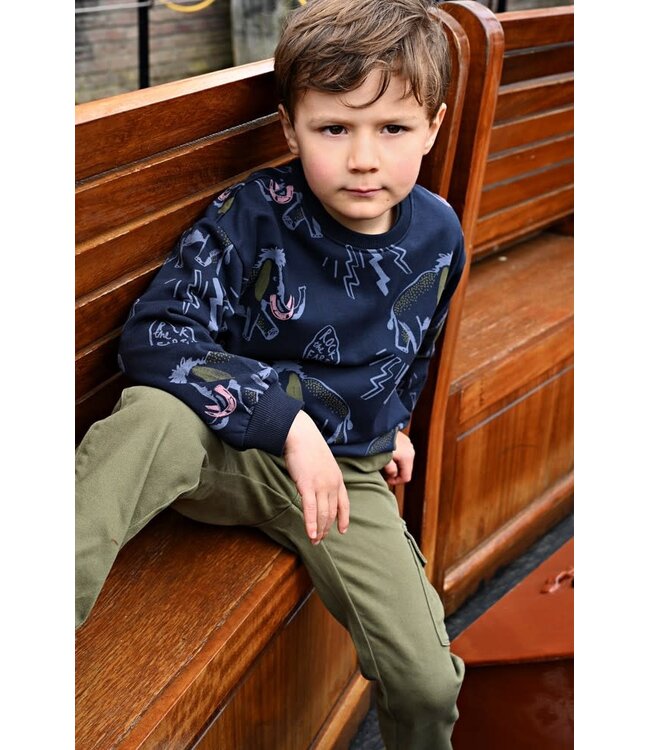 Sturdy Cargo broek Rock the earth