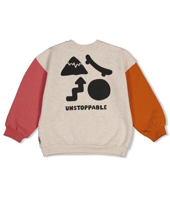 Sturdy Sweater Mountain Top oversized backprint