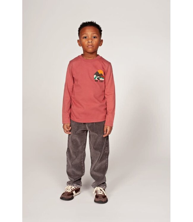Sturdy Broek Corduroy Baggy Mountain Top