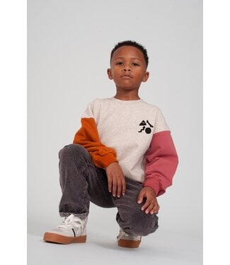 Sturdy Sweater Mountain Top oversized backprint