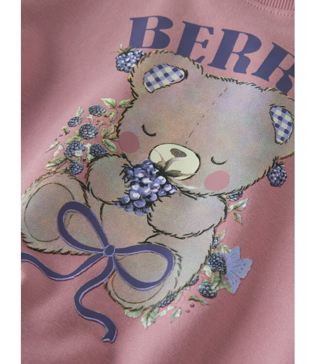 name it Sweater bear pink Berry