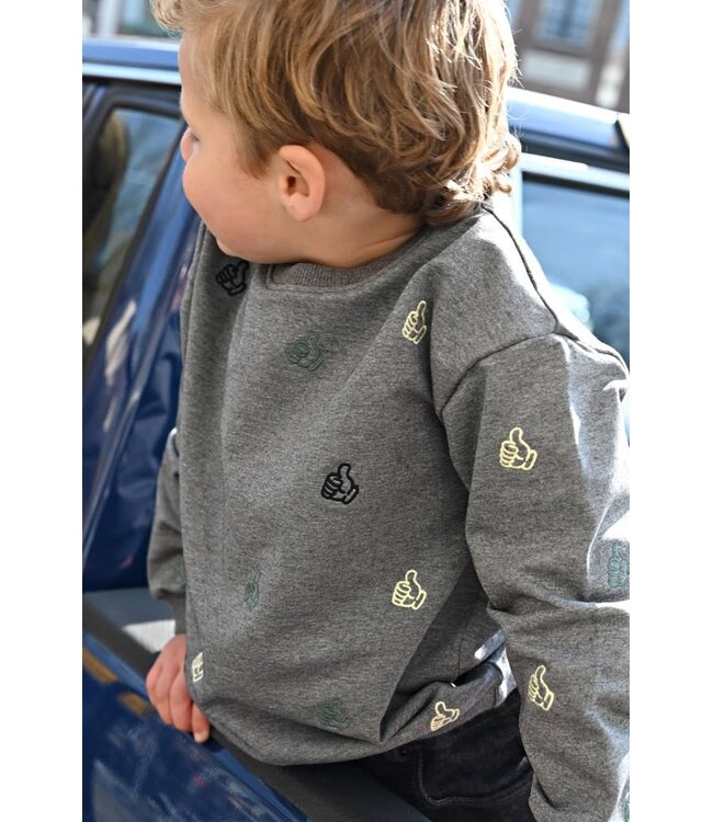 Sturdy Sweater Fix it grijs melange