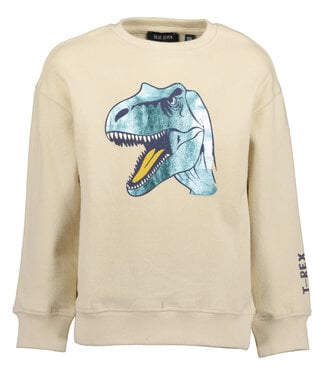 Blue Seven Trui Ecru Dino metalic