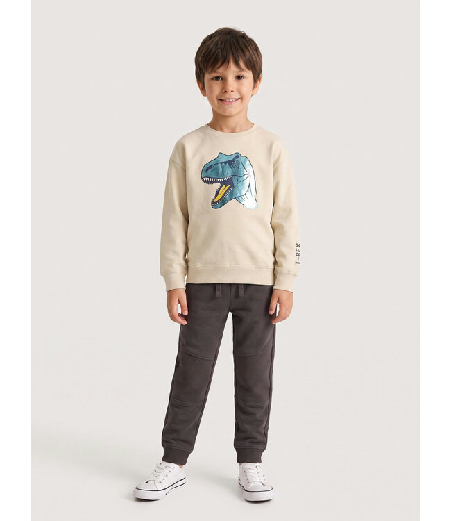 Blue Seven Trui Ecru Dino metalic